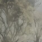 IMG_3364