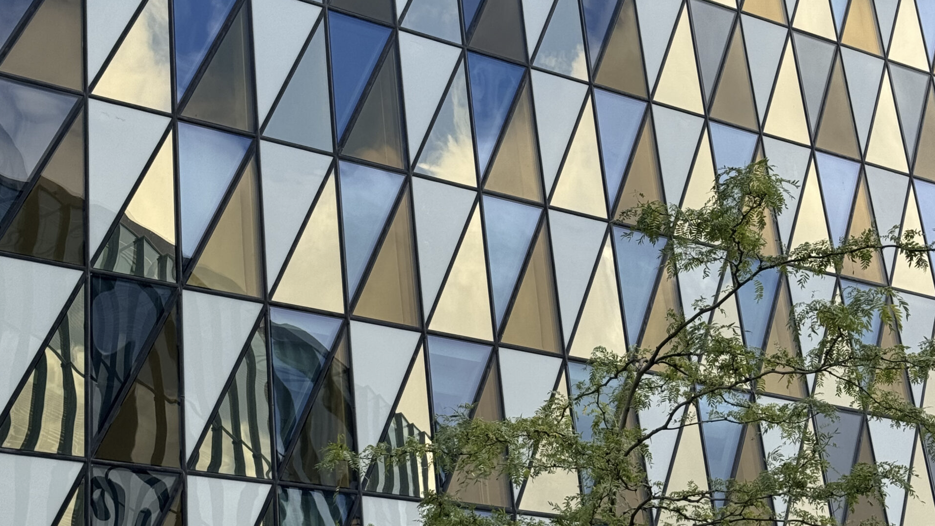 Patterns and Forms: The Hidden Language Around Us